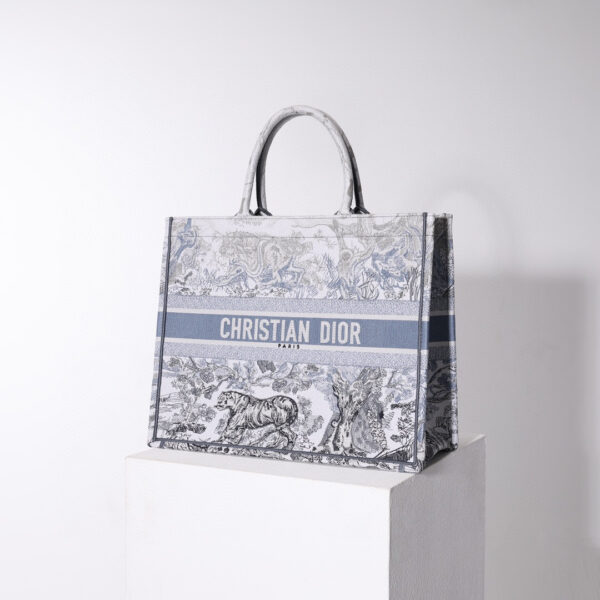 Dior Book Tote