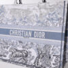 Dior Book Tote