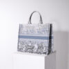 Dior Book Tote
