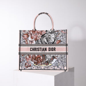 Dior Book Tote