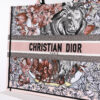Dior Book Tote