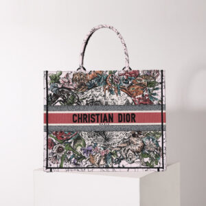 Dior Book Tote