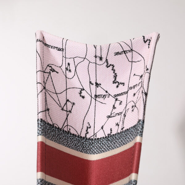 Dior Book Tote