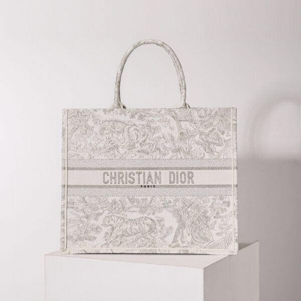 Dior Book Tote