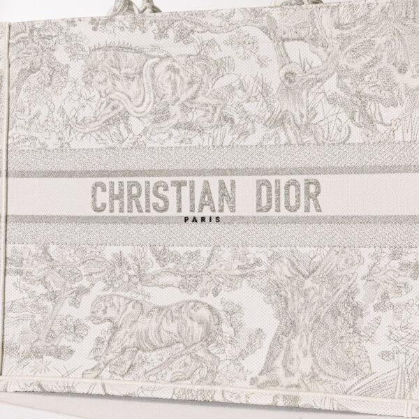 Dior Book Tote