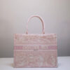 Dior Book Tote