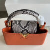 Louis Vuitton Capucines