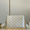 Louis Vuitton Coussin PM