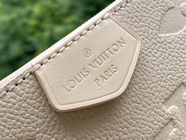 Louis Vuitton Multi Pochette Accessories