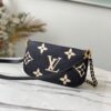 Louis Vuitton Multi Pochette Accessories