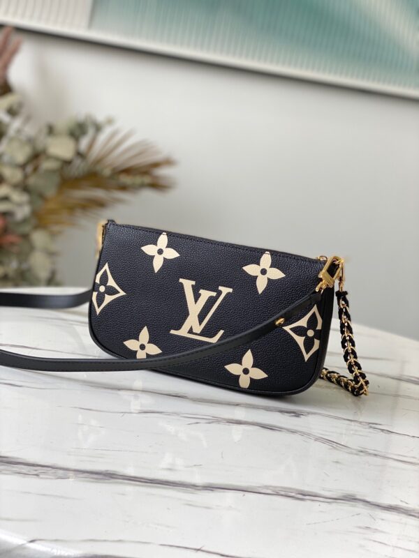 Louis Vuitton Multi Pochette Accessories