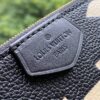 Louis Vuitton Multi Pochette Accessories