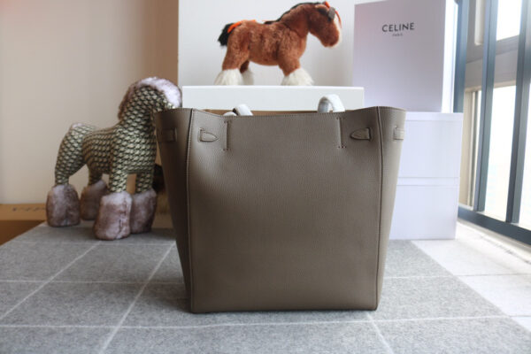 Celine Cabas Phantom