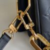 Louis Vuitton Coussin