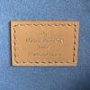 Louis Vuitton Coussin