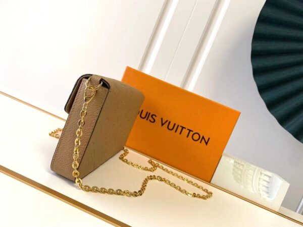 Louis Vuitton Pochette Felicie