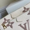 Louis Vuitton Multi Pochette Accessories