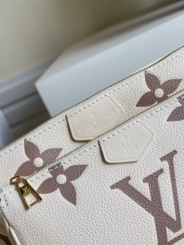 Louis Vuitton Multi Pochette Accessories