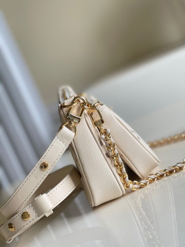 Louis Vuitton Multi Pochette Accessories