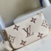 Louis Vuitton Multi Pochette Accessories