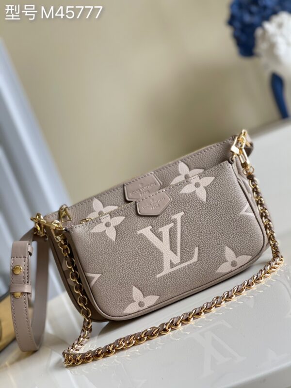 Louis Vuitton Multi Pochette Accessories