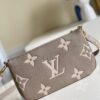 Louis Vuitton Multi Pochette Accessories