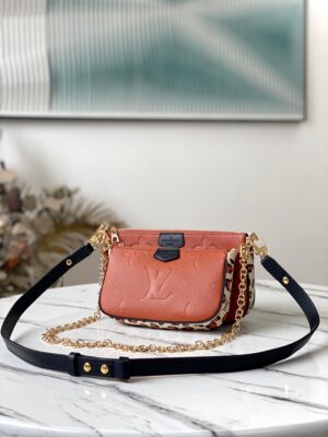 Louis Vuitton Multi Pochette Accessories
