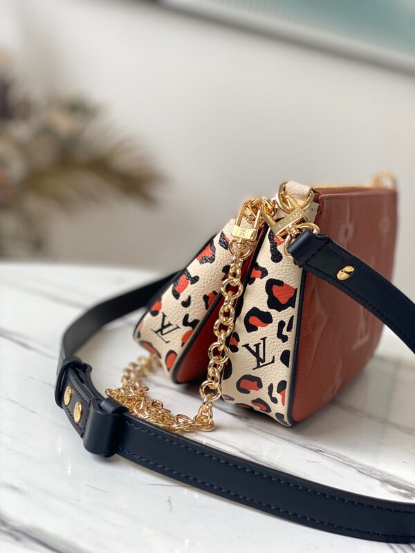 Louis Vuitton Multi Pochette Accessories