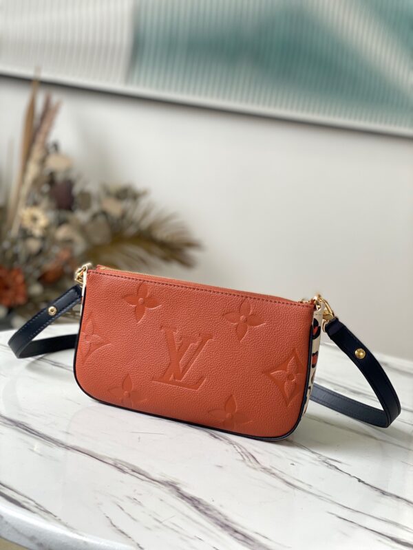 Louis Vuitton Multi Pochette Accessories