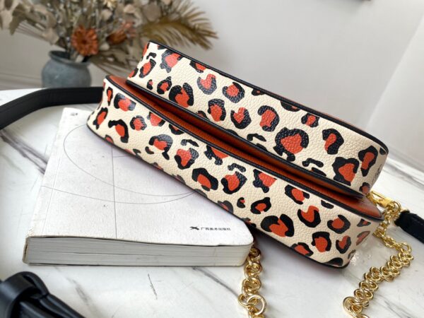 Louis Vuitton Multi Pochette Accessories