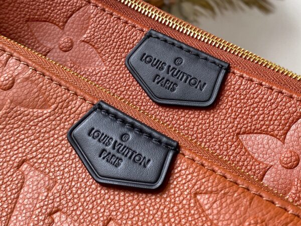 Louis Vuitton Multi Pochette Accessories