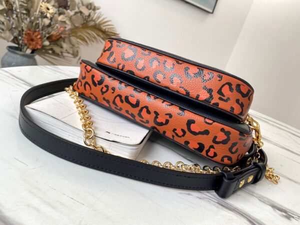 Louis Vuitton Multi Pochette Accessories