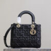 Medium Lady Dior Bag