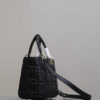Medium Lady Dior Bag