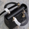 Medium Lady Dior Bag