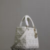 Medium Lady Dior Bag
