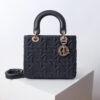 Medium Lady Dior Bag