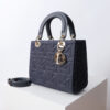 Medium Lady Dior Bag