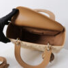 Medium Lady Dior Bag