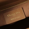 Medium Lady Dior Bag