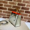Gucci Diana