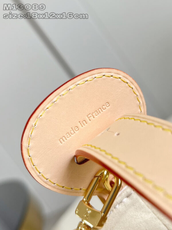 Louis Vuitton LV x TM All In BB