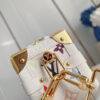 Louis Vuitton LV x TM Side Trunk MM