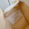 Louis Vuitton LV x TM Side Trunk MM