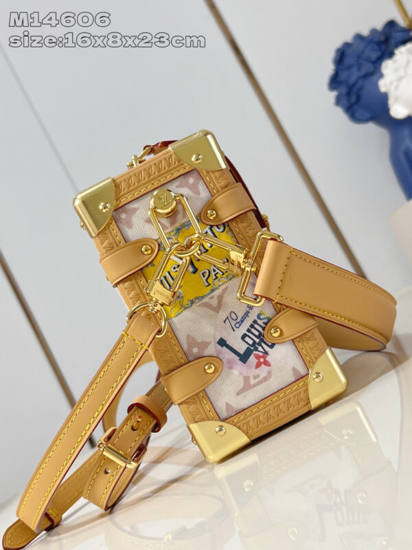 Louis Vuitton Side Trunk MM Bag