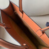 Celine Tote