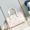 Louis Vuitton Speedy Bandoulière 20 Bag