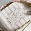 Louis Vuitton Speedy Bandoulière 20 Bag