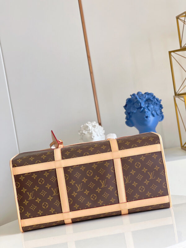 Louis Vuitton Dog Bag