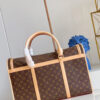 Louis Vuitton Dog Bag